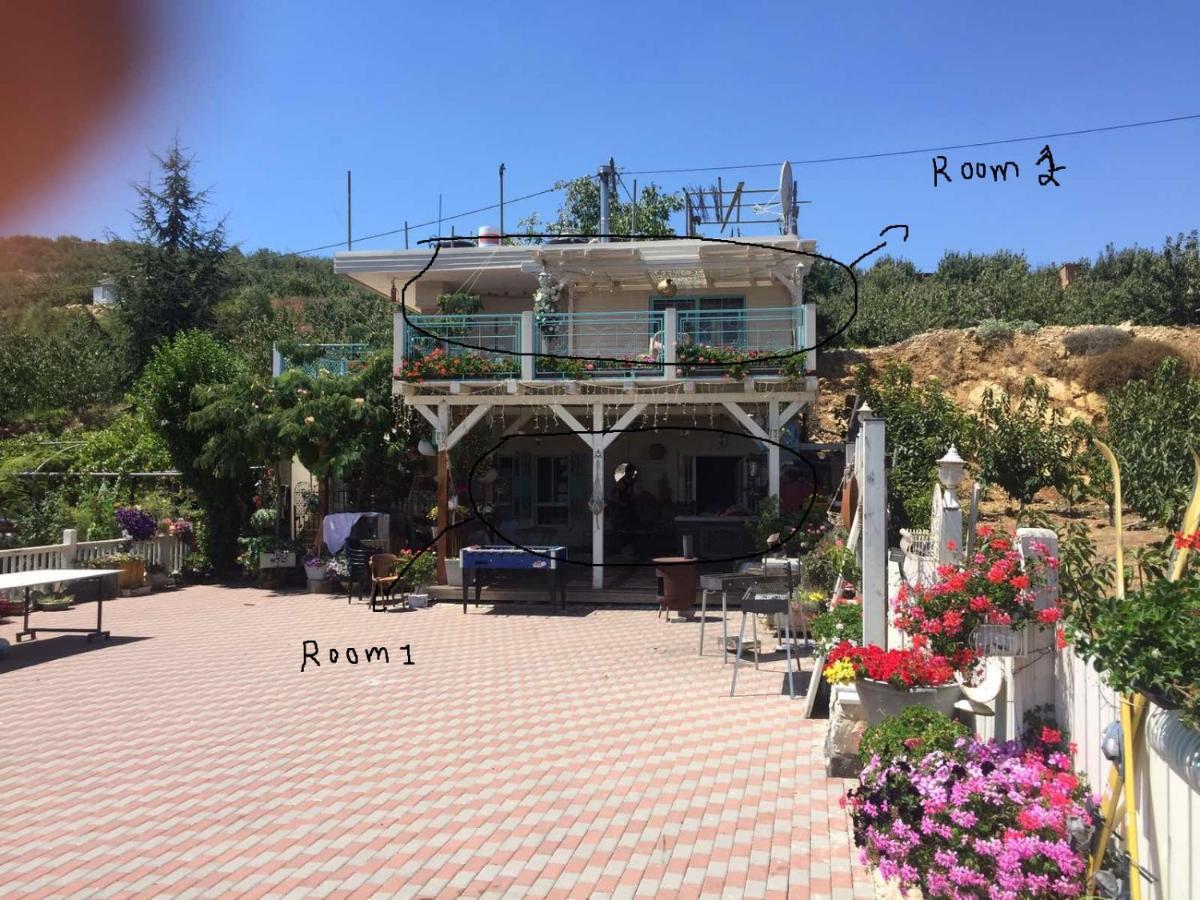 Paradise House Madżdal Szams Zewnętrze zdjęcie
